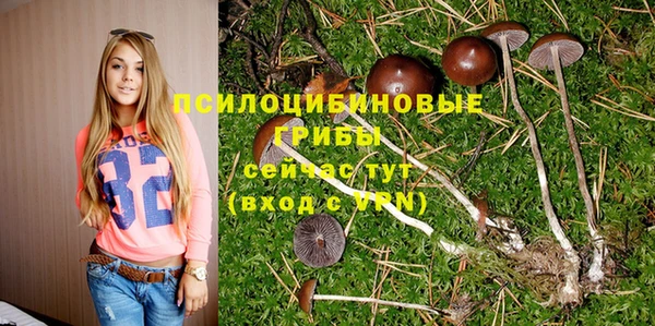 соль курить ск Бугульма